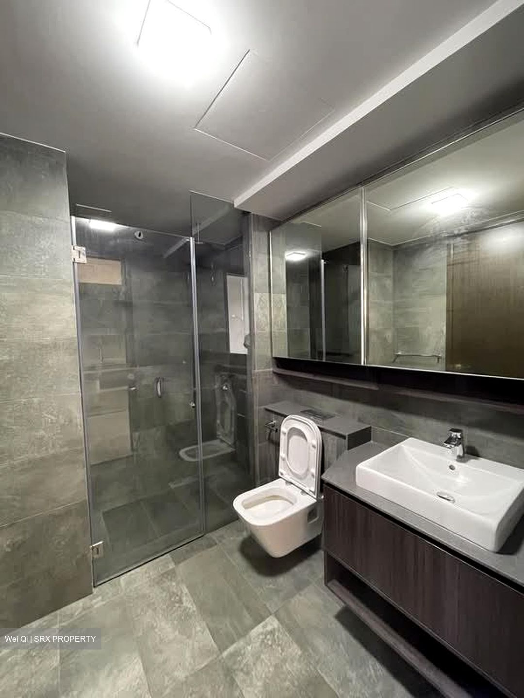 Grandeur Park Residences (D16), Condominium #566704261